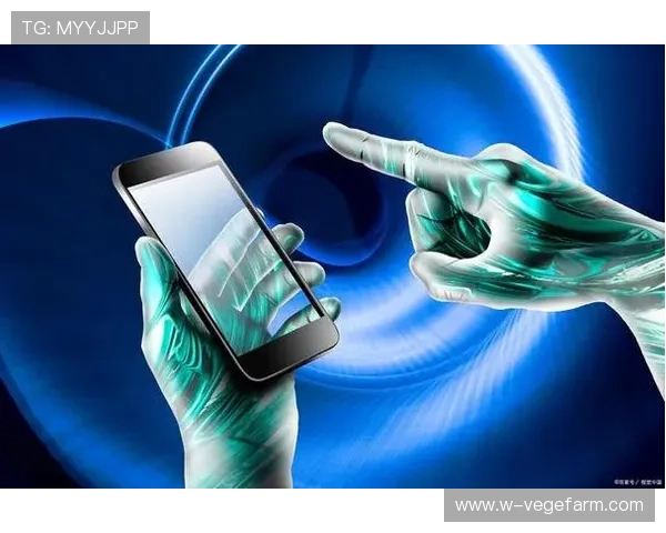 开云体育备用网址稳定性分析及优化建议提升用户体验