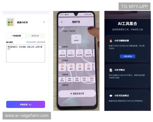 开云首页登录流程详解让新手玩家轻松掌握账号登录技巧