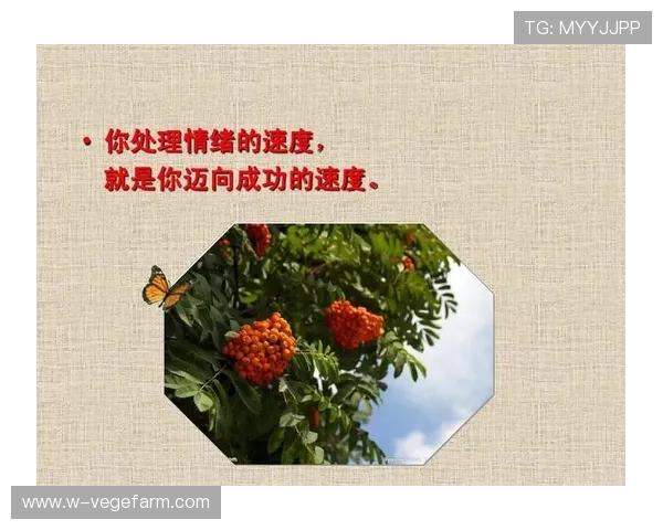 开运线上官方入口为你提供最全面的幸运攻略，助你事业家庭双丰收