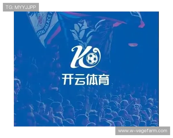 探索开云体育平台的多样化功能，提升你的体育体验与乐趣