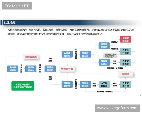 解密开云Kaiyun平台网页版的后台管理系统，提升企业运营效率的重要工具