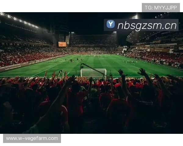 爱游戏体育平台官网为用户提供丰富的体育赛事数据分析和专业预测，提升你的竞猜胜率