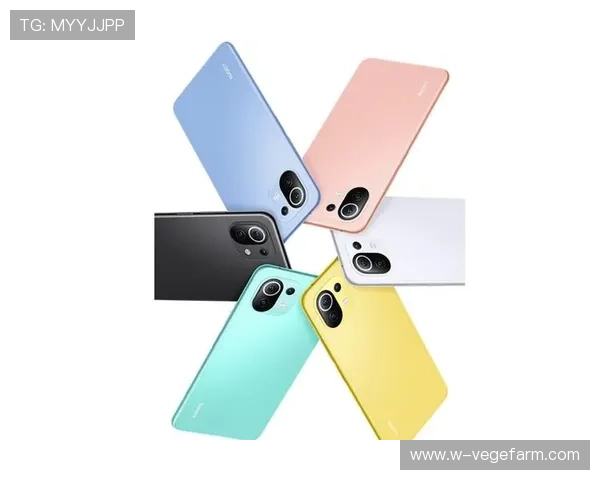 乐鱼体育app官方登录入口最新版本上线，优化登录流程提升用户体验与操作便捷性