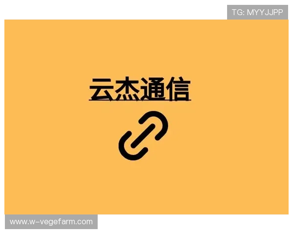 云开平台登录安全保障措施全面介绍提升账号安全性防止账号被盗的实用技巧