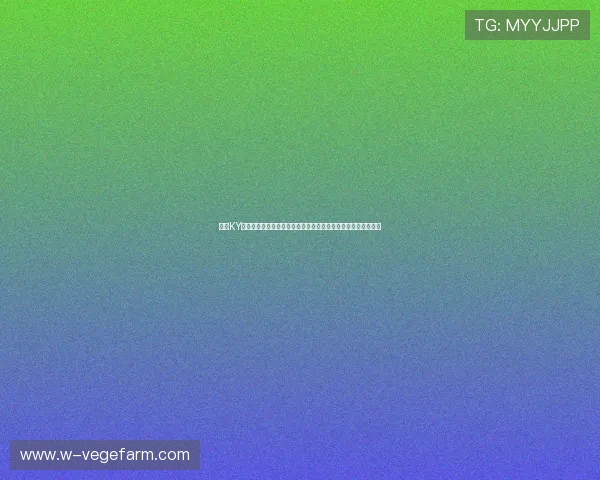 开云KY手机版支持多语种界面，方便全球用户随时掌握世界杯最新动态